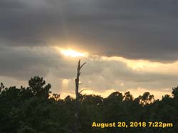 IMG_0683