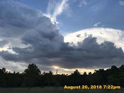 IMG_0684