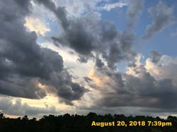 IMG_0695