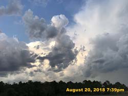IMG_0696