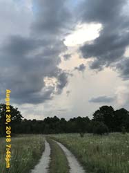 IMG_0708