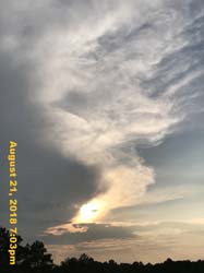 IMG_0766