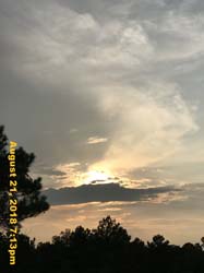 IMG_0770