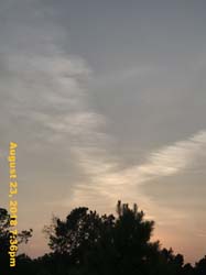 IMG_0863