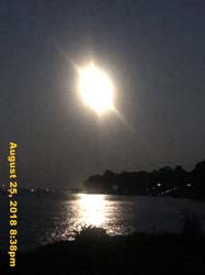 IMG_0961