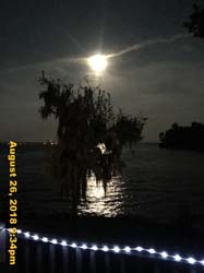 IMG_1012