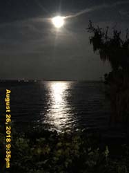 IMG_1014