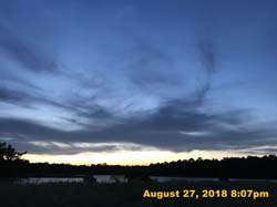 IMG_1049