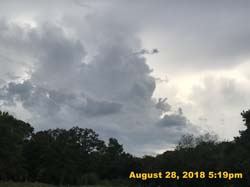 IMG_1100