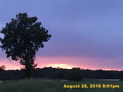 IMG_1116