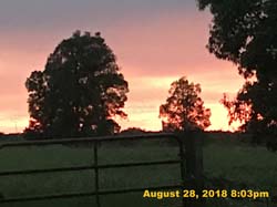 IMG_1117
