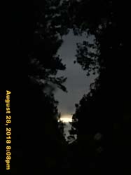 IMG_1123