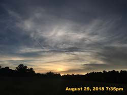 IMG_1161