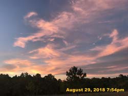 IMG_1165