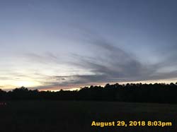 IMG_1169
