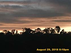 IMG_1174