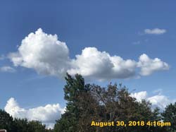 IMG_1199