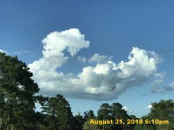 IMG_1258