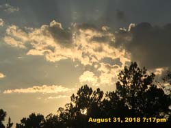 IMG_1275