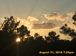 IMG_1283