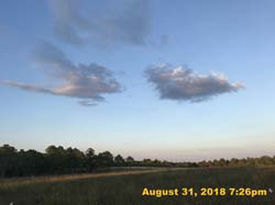 IMG_1284