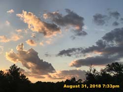 IMG_1289