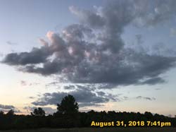 IMG_1291