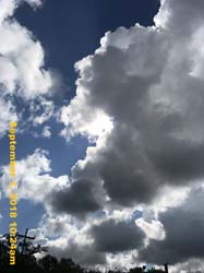 IMG_1316