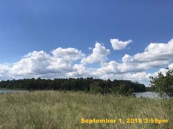 IMG_1331