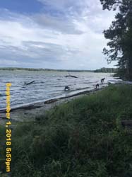 IMG_1340