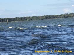 IMG_1348