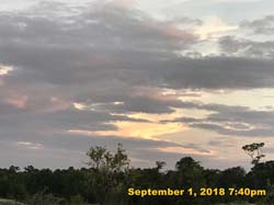 IMG_1368