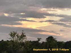 IMG_1369