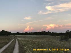 IMG_1370