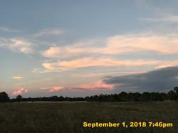 IMG_1372