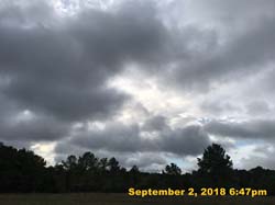 IMG_1395