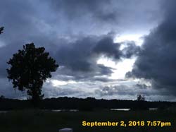 IMG_1409