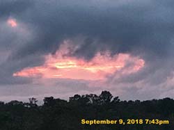 IMG_1769