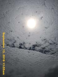 IMG_1890
