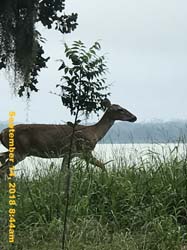 IMG_1932