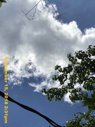 IMG_2010