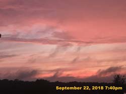 IMG_2489