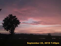 IMG_2493