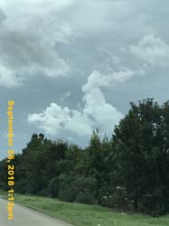 IMG_2775