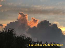 IMG_2929