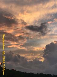 IMG_2933