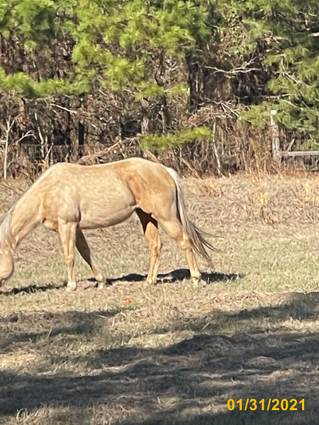 1034