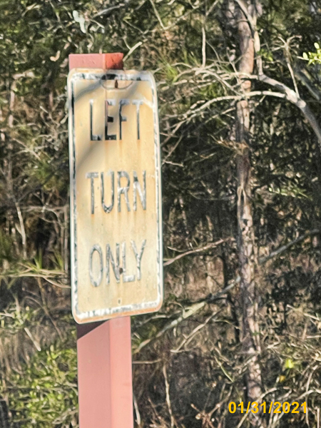 1038