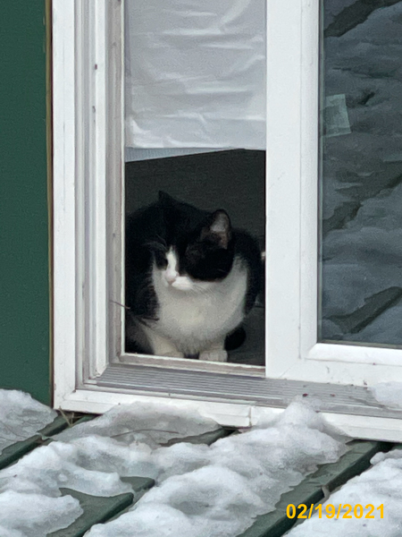 0241