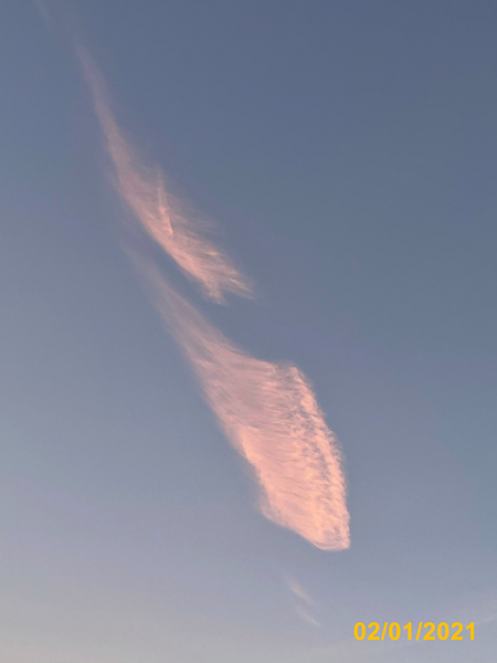 0331